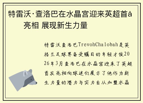 特雷沃·查洛巴在水晶宫迎来英超首发亮相 展现新生力量